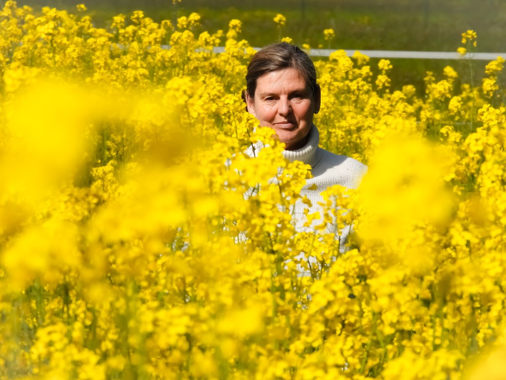 Gelb ist die&nbsp;Frau